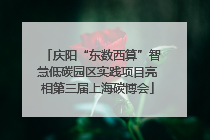 庆阳“东数西算”智慧低碳园区实践项目亮相第三届上海碳博会