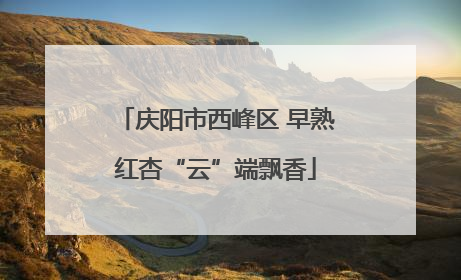 庆阳市西峰区 早熟红杏“云”端飘香