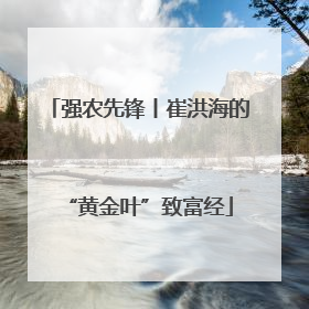 强农先锋丨崔洪海的“黄金叶”致富经