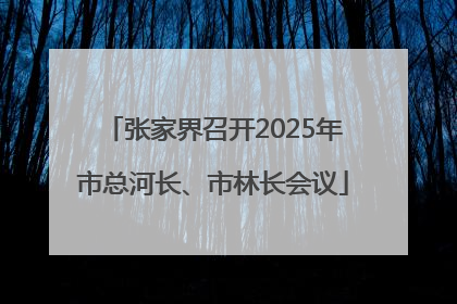 张家界召开2025年市总河长、市林长会议