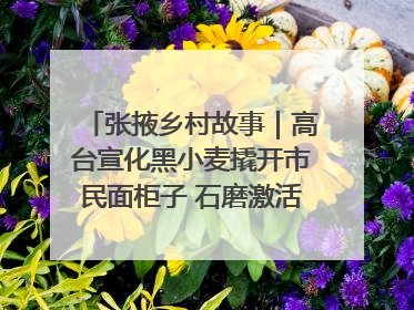 张掖乡村故事｜高台宣化黑小麦撬开市民面柜子 石磨激活村集体钱匣子