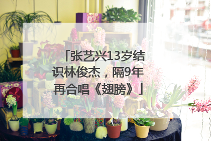 张艺兴13岁结识林俊杰，隔9年再合唱《翅膀》