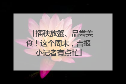 插秧放蟹、品尝美食！这个周末，吉报小记者有点忙