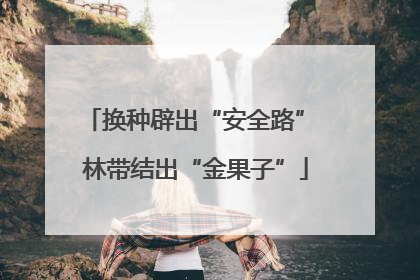 换种辟出“安全路” 林带结出“金果子”