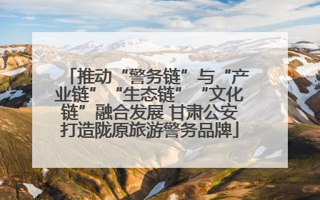 推动“警务链”与“产业链”“生态链”“文化链”融合发展 甘肃公安打造陇原旅游警务品牌