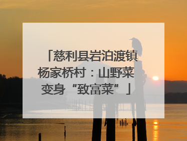 慈利县岩泊渡镇杨家桥村：山野菜变身“致富菜”