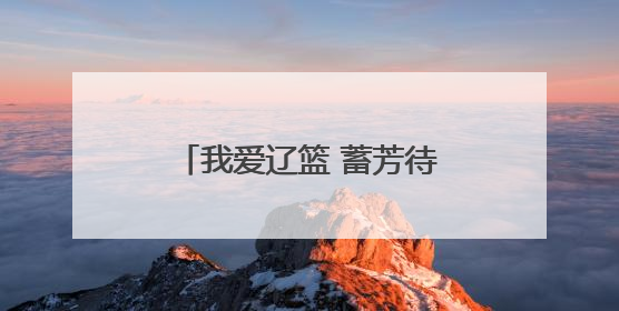 我爱辽篮 蓄芳待来年丨辽篮当针对阵容短板选外援