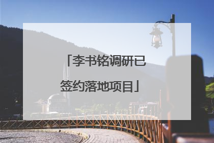 李书铭调研已签约落地项目