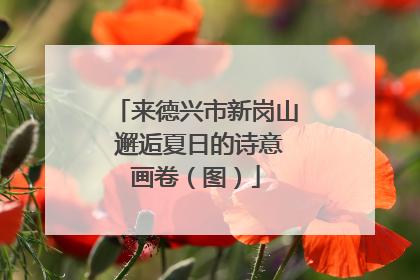 来德兴市新岗山 邂逅夏日的诗意画卷（图）