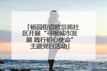 杨园街道欧景苑社区开展“寻根城市发展 践行初心使命”主题党日活动