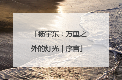 杨宇东：万里之外的灯光｜序言