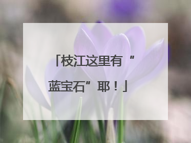 枝江这里有“蓝宝石”耶！