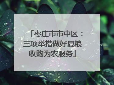 枣庄市市中区：三项举措做好夏粮收购为农服务