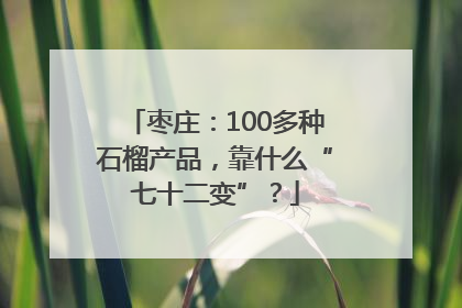 枣庄：100多种石榴产品，靠什么“七十二变”？