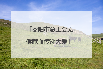 枣阳市总工会无偿献血传递大爱