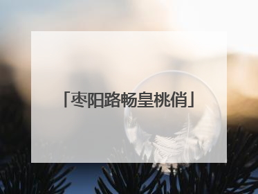 枣阳路畅皇桃俏