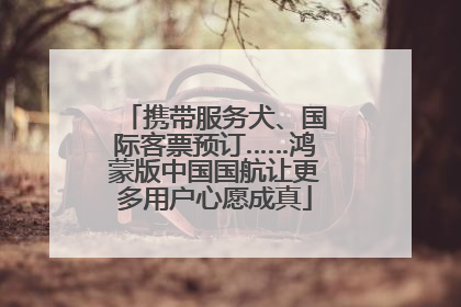 携带服务犬、国际客票预订……鸿蒙版中国国航让更多用户心愿成真