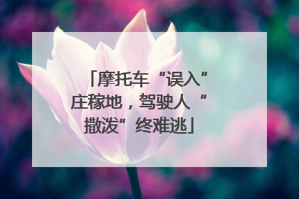 摩托车“误入”庄稼地，驾驶人“撒泼”终难逃