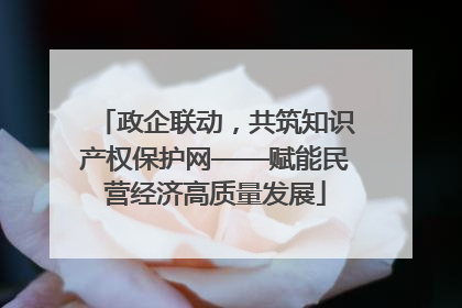 政企联动，共筑知识产权保护网——赋能民营经济高质量发展