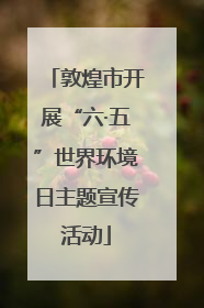 敦煌市开展“六·五”世界环境日主题宣传活动