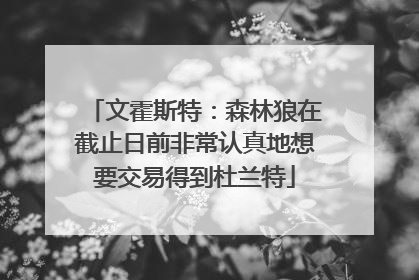 文霍斯特：森林狼在截止日前非常认真地想要交易得到杜兰特