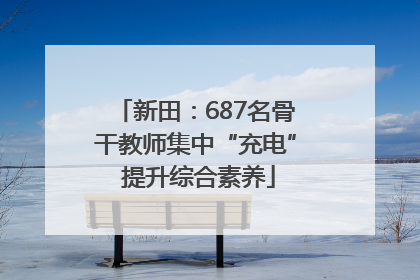 新田：687名骨干教师集中“充电” 提升综合素养