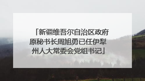 新疆维吾尔自治区政府原秘书长周旭勇已任伊犁州人大常委会党组书记