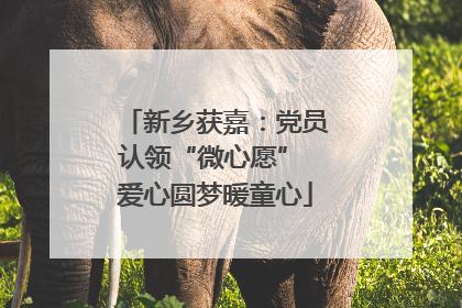 新乡获嘉：党员认领“微心愿” 爱心圆梦暖童心