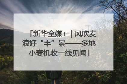 新华全媒+｜风吹麦浪好“丰”景——多地小麦机收一线见闻