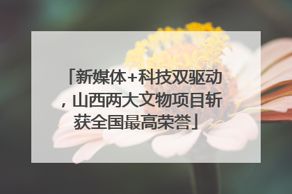 新媒体+科技双驱动，山西两大文物项目斩获全国最高荣誉