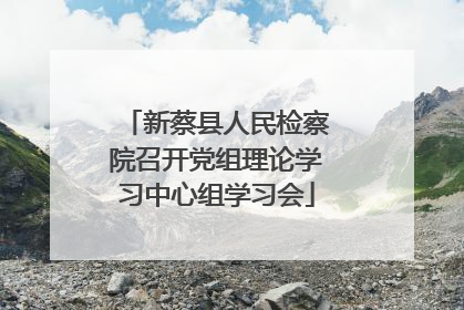 新蔡县人民检察院召开党组理论学习中心组学习会
