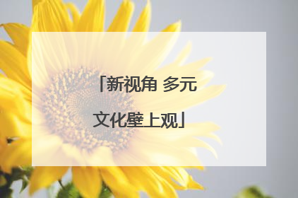 新视角 多元文化壁上观