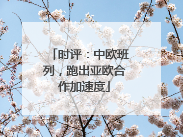 时评：中欧班列，跑出亚欧合作加速度