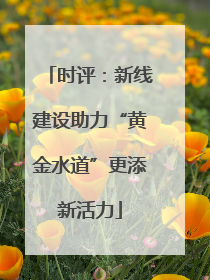 时评：新线建设助力“黄金水道”更添新活力