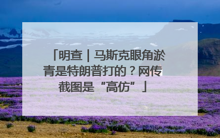 明查｜马斯克眼角淤青是特朗普打的？网传截图是“高仿”