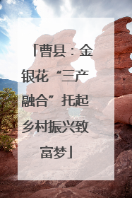 曹县：金银花“三产融合”托起乡村振兴致富梦