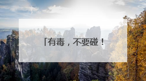 有毒，不要碰！这种花已在街头出现，《甄嬛传》中也有“科普”