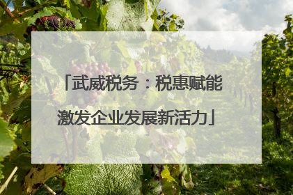 武威税务：税惠赋能 激发企业发展新活力