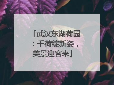武汉东湖荷园：千荷绽新姿，美景迎客来