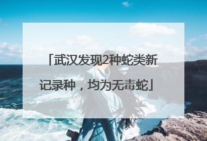 武汉发现2种蛇类新记录种，均为无毒蛇