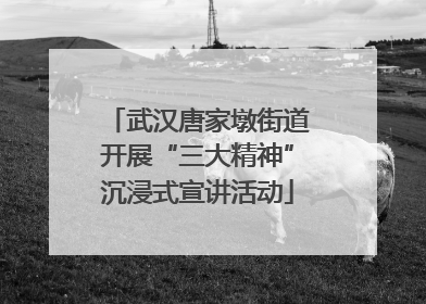 武汉唐家墩街道开展“三大精神”沉浸式宣讲活动