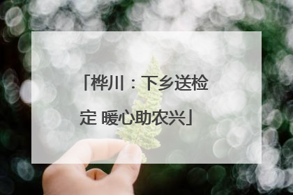 桦川：下乡送检定 暖心助农兴