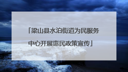 梁山县水泊街道为民服务中心开展惠民政策宣传