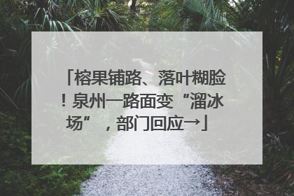 榕果铺路、落叶糊脸！泉州一路面变“溜冰场”，部门回应→