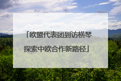 欧盟代表团到访横琴 探索中欧合作新路径