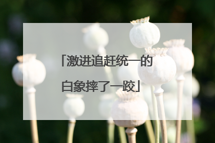 激进追赶统一的白象摔了一跤