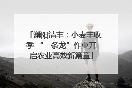 濮阳清丰：小麦丰收季 “一条龙”作业开启农业高效新篇章