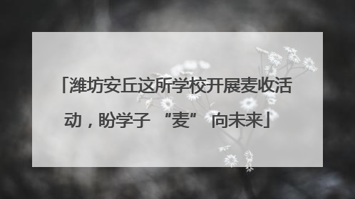 潍坊安丘这所学校开展麦收活动，盼学子 “麦” 向未来