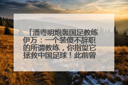 潘粤明炮轰国足教练伊万：一个装傻不辞职的所谓教练，你指望它拯救中国足球！此前曾多次发文评价国足