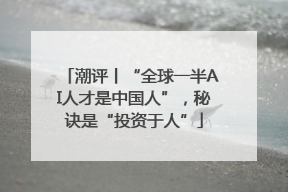 潮评丨“全球一半AI人才是中国人”，秘诀是“投资于人”
